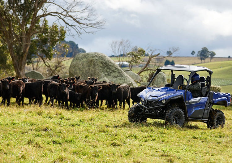 Yamaha YXE850PU Wolverine